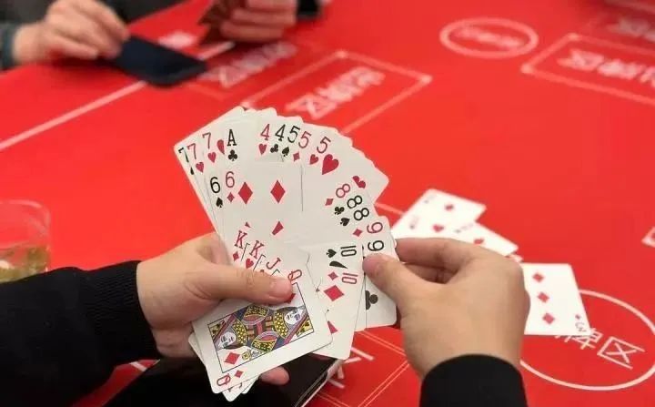 高手入門：摜蛋的基本玩法！